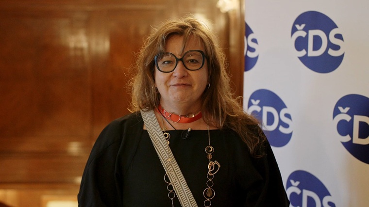 Syndrom diabetické nohy v komentářích, květen 2026 - doc. MUDr. Vladimíra Fejfarová, Ph.D. 1